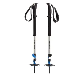 Denali Rental Trekking Poles